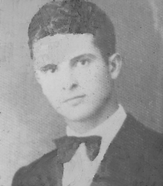 Del Plavignano Guido